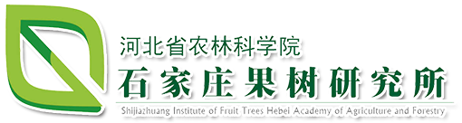 廣東盛久環?？萍加邢薰? title=